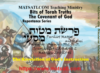 Bits of Torah Truths, פרשת מטות- מסעי, Parshiyot Mattot/Massei, The Revelation of God’s Instruction