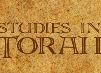 Bits of Torah Truths, New Torah Series — The Torah and the Gospel Message
