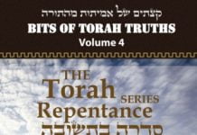 New Book – Bits of Torah Truths, Repentance Series, Volume 4