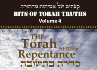 New Book – Bits of Torah Truths, Repentance Series, Volume 4