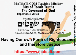 Bits of Torah Truths, פרשת שפטים, Parashat Shoftim, Having Our own Form of Righteousness and therefore Justice