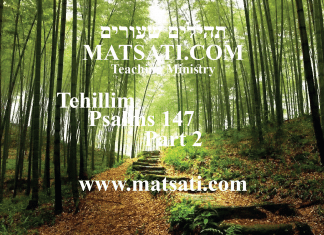 Tehillim / Psalms 147, ספר תהילים קמז, Part 2, The Word draws near so We can do Likewise