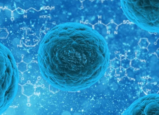 How Genes and Memory Formation Effect the Battle between Sin and Righteousness