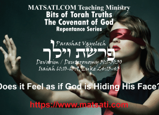 Does it Feel as if God is Hiding His Face? – Parashat Vayelech – פָּרָשָׁה וַיֵּלֶךְ – Bits of Torah Truths