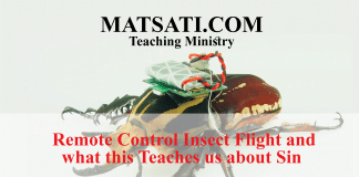 Remote Control Insect Flight and what this Teaches us about Sin
