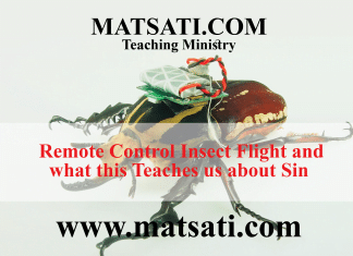 Remote Control Insect Flight and what this Teaches us about Sin