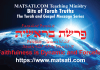 Faithfulness is Dynamic and Forceful, Parashat Bereshit, פרשת בראשית, Bits of Torah Truths