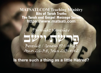 Is there such a thing as a little Hatred? פרשת וישב, Parashat Vayeshev, Bits of Torah Truths