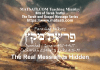 The Real Messiah is Hidden, Parashat Miketz, פרשת מקץ, Bits of Torah Truths