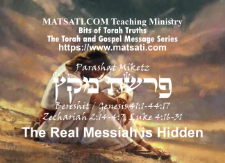 The Real Messiah is Hidden, Parashat Miketz, פרשת מקץ, Bits of Torah Truths
