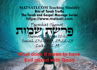 What does it mean to have Evil mixed with Good, פרשת שמות, Parashat Shemot, Bits of Torah Truths