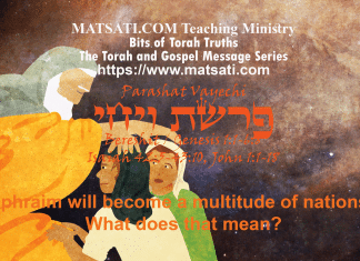 Ephraim will become a multitude of nations, What does that mean? פרשת ויחי, Parashat Vayechi, Bits of Torah Truths
