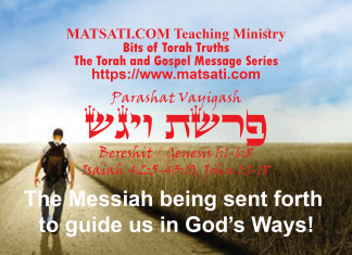 The Messiah being sent forth to guide us in God’s Ways! פרשת ויגש, Parashat Vayigash, Bits of Torah Truths