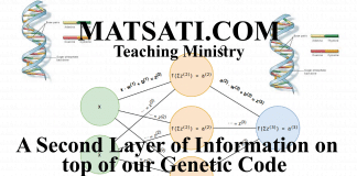 A Second Layer of Information on top of our Genetic Code