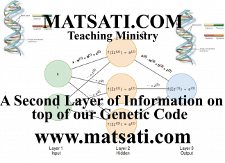 A Second Layer of Information on top of our Genetic Code