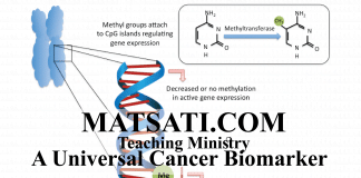 A Universal Cancer Biomarker – A Spiritual Insight