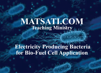 Electricity Producing Bacteria for Bio-Fuel Cell Application