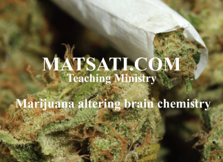 Marijuana altering brain chemistry