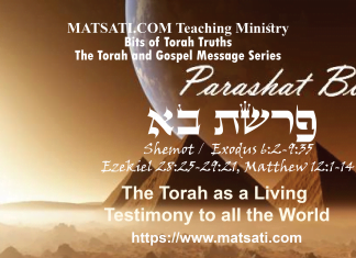 The Torah as a Living Testimony to all the World, פרשת בא, Parashat Bo, Bits of Torah Truths