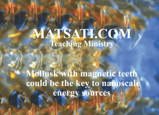 Mollusk with magnetic teeth could be the key to nanoscale energy sources – A Spiritual Insight