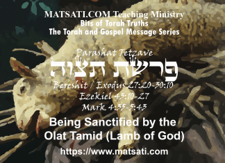 Being Sanctified by the Olat Tamid (Lamb of God), פרשת תצוה, Parashat Tetzaveh, Bits of Torah Truths
