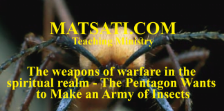 The weapons of warfare in the spiritual realm – The Pentagon Wants to Make an Army of Insects – A Spiritual Insight