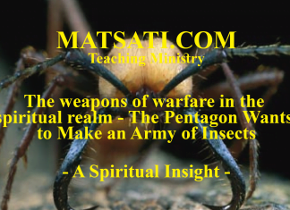 The weapons of warfare in the spiritual realm – The Pentagon Wants to Make an Army of Insects – A Spiritual Insight