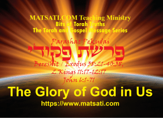 The Glory of God in Us, פרשת פקודי, Parashat Pekudei, Bits of Torah Truths