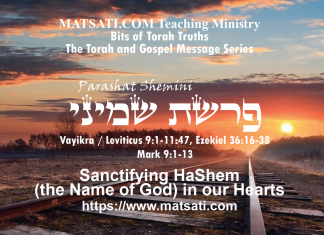 Sanctifying HaShem (the Name of God) in our Hearts, פרשת שמיני, Parashat Shemini, Bits of Torah Truths