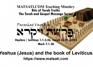 Yeshua (Jesus) and the book of Leviticus, פרשת ויקרא, Parashat Vayikra, Bits of Torah Truths