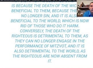 Watch – What happens to the natural world if all the insects disappear? – A Spiritual Insight