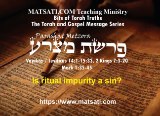 Is ritual impurity a sin?, פרשת מצרע, Parashat Metzora, Bits of Torah Truths