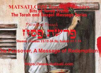 The Passover, A Message of Redemption! פרשת פסח, Parashat Pesach, Bits of Torah Truths