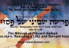 The Mitzvah of Pikuach Nefesh (פיקוח נפש, Rescuing a Life) and Servant hood, פרשת שמיני של פסח, Parashat Shemini shel Pesach, Bits of Torah Truths