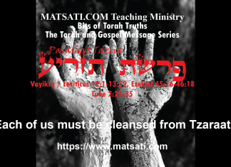 Each of us must be cleansed from Tzaraat (Leprosy), פרשת תזריע, Parashat Tazria, Bits of Torah Truths