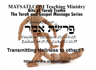 Transmitting Holiness to others? פרשת אמר, Parashat Emor, Bits of Torah Truths