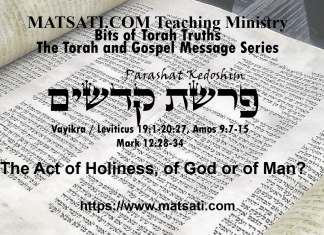 The Act of Holiness, of God or of Man? פרשת קדשים, Parashat Kedoshim, Bits of Torah Truths