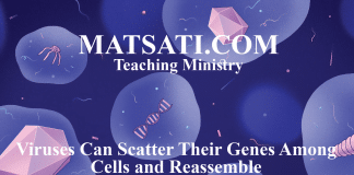 Viruses Can Scatter Their Genes Among Cells and Reassemble – A Spiritual Insight