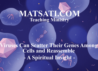 Viruses Can Scatter Their Genes Among Cells and Reassemble – A Spiritual Insight