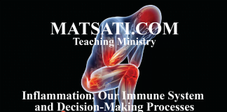 Inflammation, Our Immune System and Decision-Making Processes – A Spiritual Insight