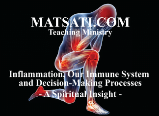 Inflammation, Our Immune System and Decision-Making Processes – A Spiritual Insight