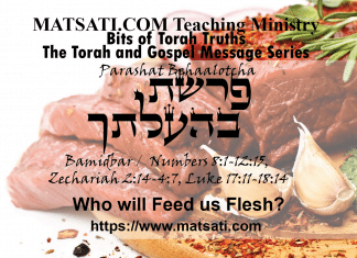 Who will Feed Us Flesh? פרשת בהעלתך, Parashat Behaalotcha, Bits of Torah Truths