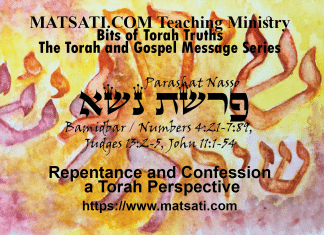 Repentance and Confession a Torah Perspective, פרשת נשא, Parashat Naso, Bits of Torah Truths