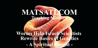 Worms Help Israeli Scientists Rewrite Basics of Genetics – A Spiritual Insight