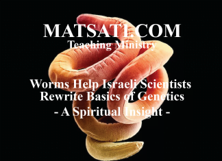 Worms Help Israeli Scientists Rewrite Basics of Genetics – A Spiritual Insight