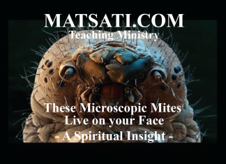 These Microscopic Mites Live on your Face – A Spiritual Insight