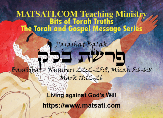 Living against God’s Will, פרשת בלק, Parashat Balak, Bits of Torah Truths