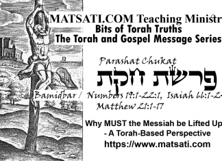 Why MUST the Messiah be Lifted Up? – A Torah-Based Perspective, פרשת חקת, Parashat Chukat, Bits of Torah Truths