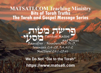 We Do Not “Die to the Torah” פרשיות מטות- מסעי, Parshiyot Mattot/Massei, Bits of Torah Truths