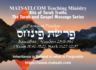 Inheritance is Related to what is Forgivable, פרשת פינחס, Parashat Pinchas, Bits of Torah Truths